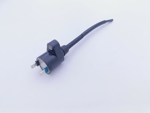 HONDA IGNITION COIL 2001-2021 XR50 R CRF50 F SPARK PLUG OEM GENUINE NEW